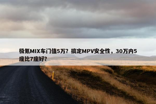 极氪MIX车门值5万？搞定MPV安全性，30万内5座比7座好？