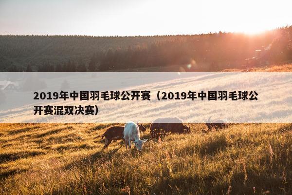 2019年中国羽毛球公开赛（2019年中国羽毛球公开赛混双决赛）