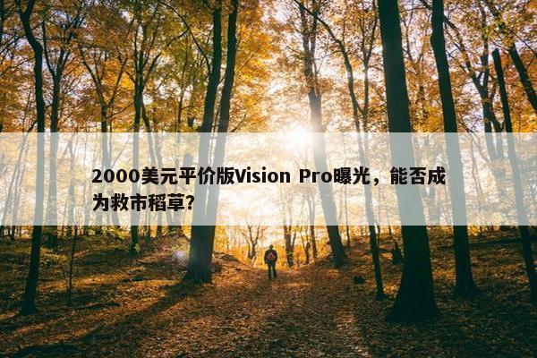 2000美元平价版Vision Pro曝光，能否成为救市稻草？