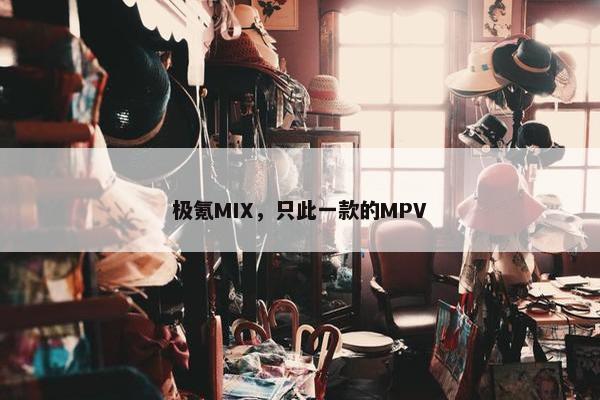 极氪MIX，只此一款的MPV