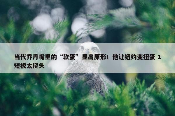 当代乔丹嘴里的“软蛋”显出原形！他让纽约变扭蛋 1短板太挠头