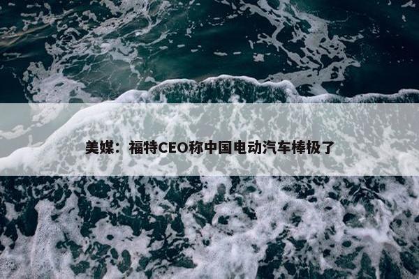 美媒：福特CEO称中国电动汽车棒极了