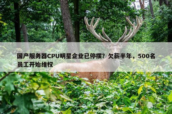 国产服务器CPU明星企业已停摆？欠薪半年，500名员工开始维权