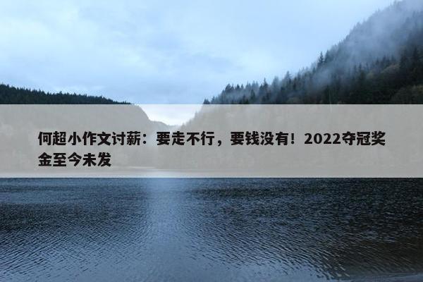 何超小作文讨薪：要走不行，要钱没有！2022夺冠奖金至今未发