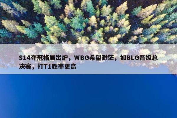 S14夺冠格局出炉，WBG希望渺茫，如BLG晋级总决赛，打T1胜率更高