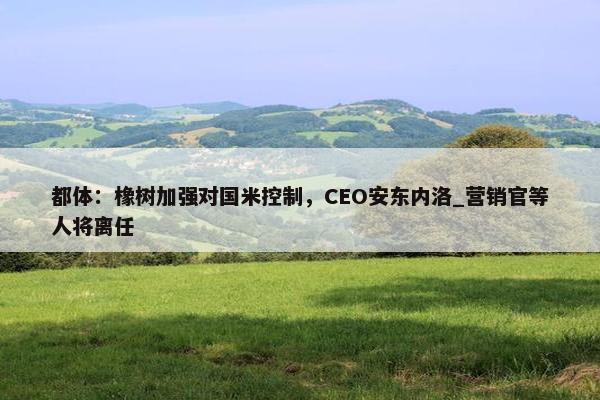 都体：橡树加强对国米控制，CEO安东内洛_营销官等人将离任