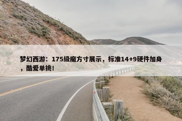 梦幻西游：175级魔方寸展示，标准14+9硬件加身，酷爱单挑！