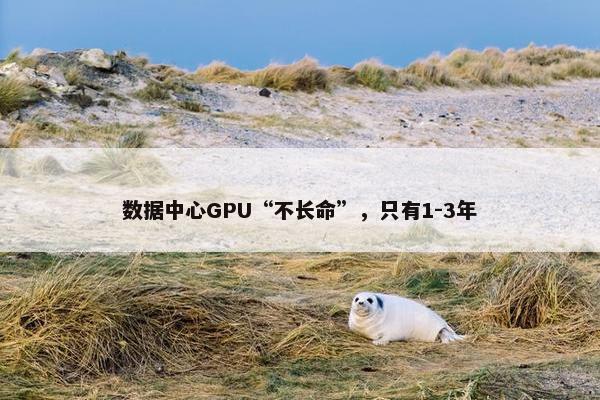 数据中心GPU“不长命”，只有1-3年