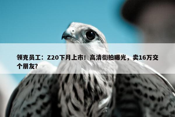 领克员工：Z20下月上市！高清街拍曝光，卖16万交个朋友？