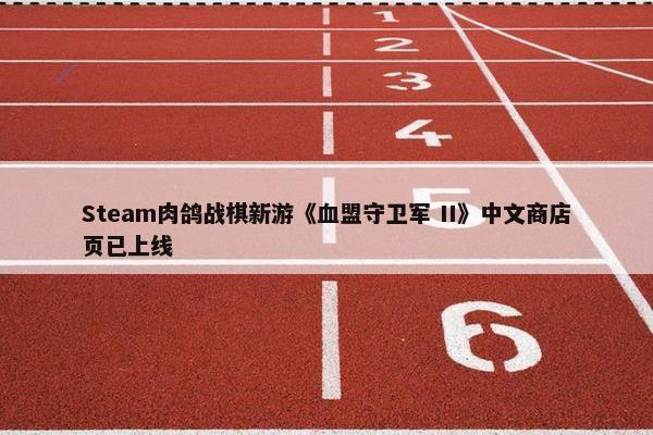 Steam肉鸽战棋新游《血盟守卫军 II》中文商店页已上线