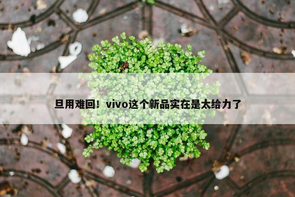 旦用难回！vivo这个新品实在是太给力了