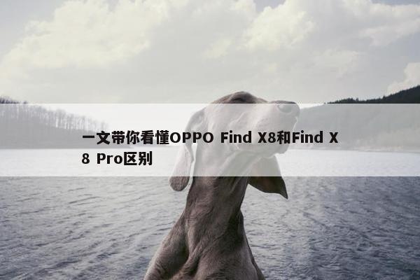 一文带你看懂OPPO Find X8和Find X8 Pro区别