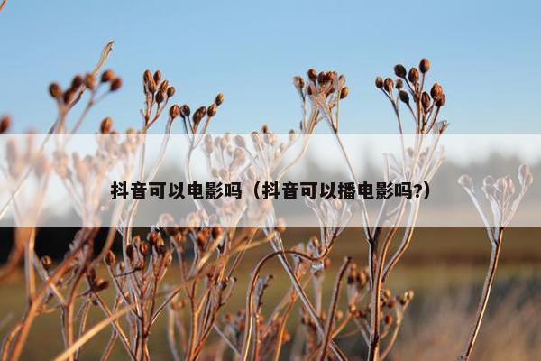 抖音可以电影吗（抖音可以播电影吗?）