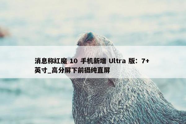 消息称红魔 10 手机新增 Ultra 版：7+ 英寸_高分屏下前摄纯直屏