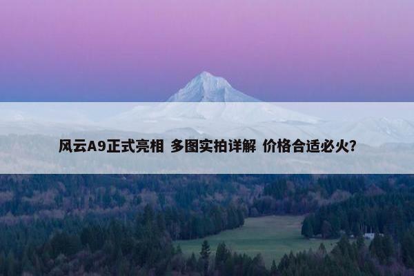 风云A9正式亮相 多图实拍详解 价格合适必火？