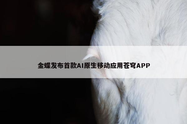 金蝶发布首款AI原生移动应用苍穹APP