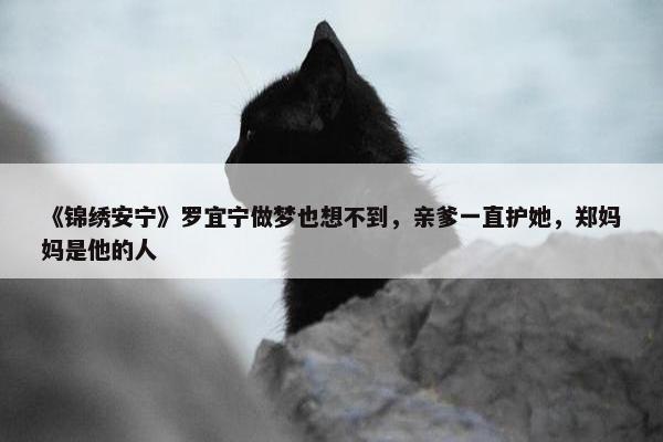 《锦绣安宁》罗宜宁做梦也想不到，亲爹一直护她，郑妈妈是他的人