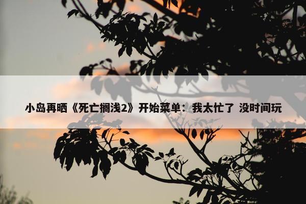 小岛再晒《死亡搁浅2》开始菜单：我太忙了 没时间玩