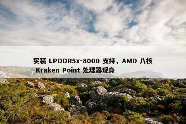 实装 LPDDR5x-8000 支持，AMD 八核 Kraken Point 处理器现身