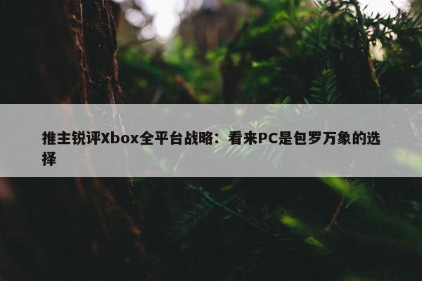 推主锐评Xbox全平台战略：看来PC是包罗万象的选择