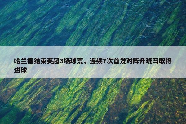 哈兰德结束英超3场球荒，连续7次首发对阵升班马取得进球