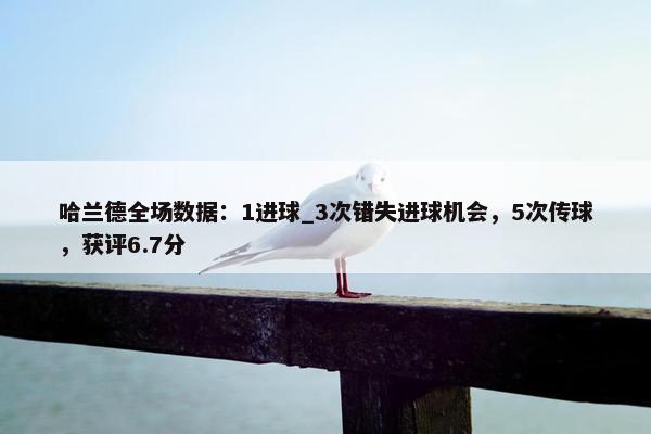 哈兰德全场数据：1进球_3次错失进球机会，5次传球，获评6.7分