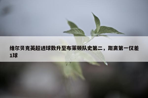 维尔贝克英超进球数升至布莱顿队史第二，距离第一仅差1球