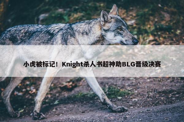 小虎被标记！Knight杀人书超神助BLG晋级决赛