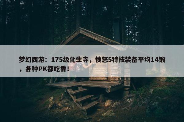 梦幻西游：175级化生寺，愤怒5特技装备平均14锻，各种PK都吃香！