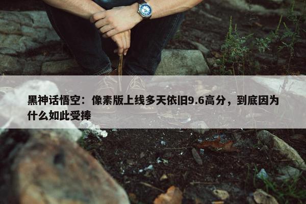 黑神话悟空：像素版上线多天依旧9.6高分，到底因为什么如此受捧