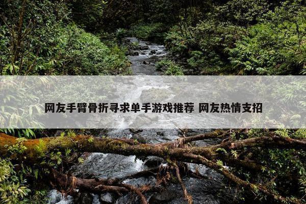 网友手臂骨折寻求单手游戏推荐 网友热情支招