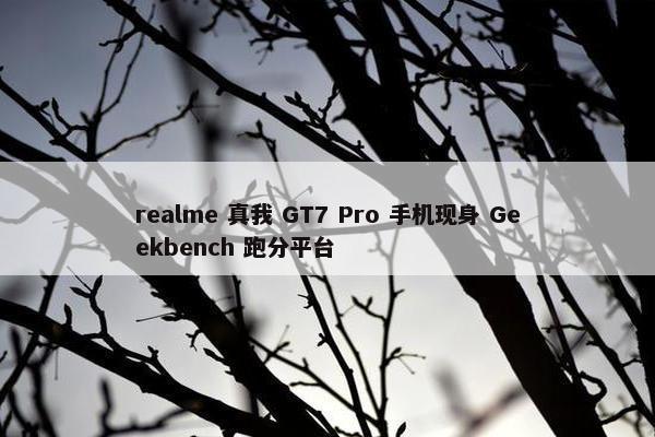 realme 真我 GT7 Pro 手机现身 Geekbench 跑分平台