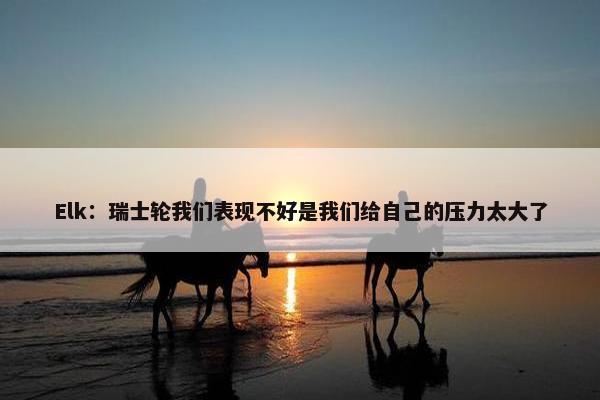 Elk：瑞士轮我们表现不好是我们给自己的压力太大了