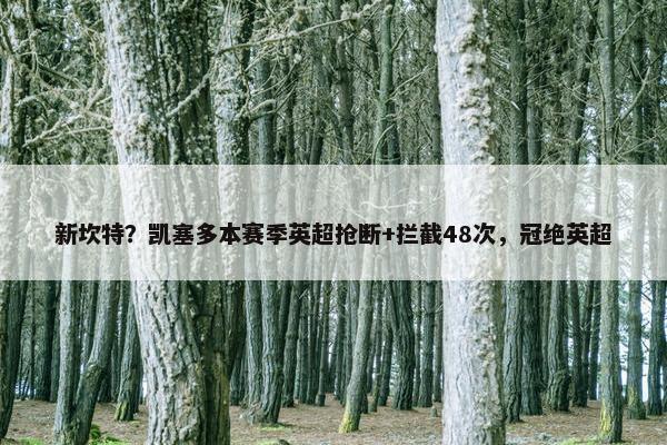 新坎特？凯塞多本赛季英超抢断+拦截48次，冠绝英超