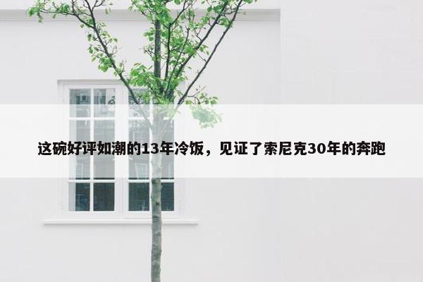 这碗好评如潮的13年冷饭，见证了索尼克30年的奔跑