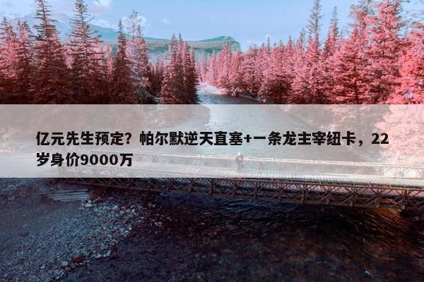 亿元先生预定？帕尔默逆天直塞+一条龙主宰纽卡，22岁身价9000万