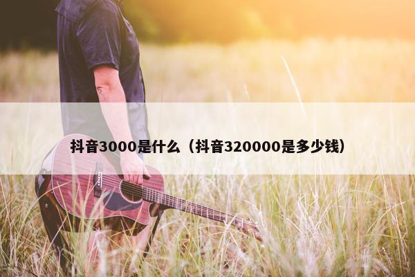 抖音3000是什么（抖音320000是多少钱）