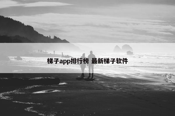 梯子app排行榜 最新梯子软件