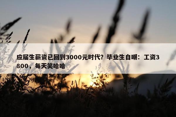 应届生薪资已回到3000元时代？毕业生自嘲：工资3800，每天笑哈哈