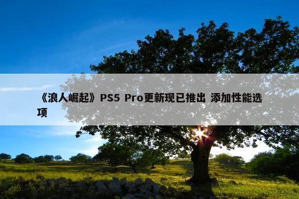 《浪人崛起》PS5 Pro更新现已推出 添加性能选项