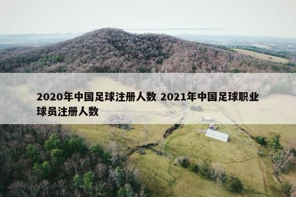 2020年中国足球注册人数 2021年中国足球职业球员注册人数