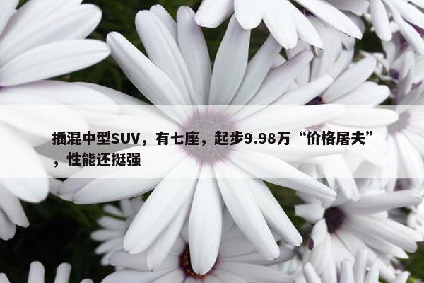 插混中型SUV，有七座，起步9.98万“价格屠夫”，性能还挺强