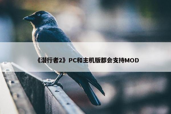 《潜行者2》PC和主机版都会支持MOD