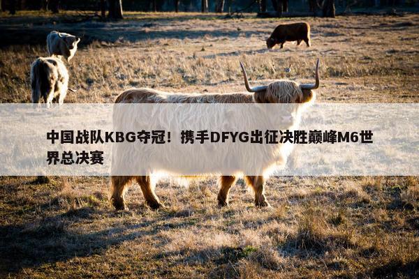 中国战队KBG夺冠！携手DFYG出征决胜巅峰M6世界总决赛