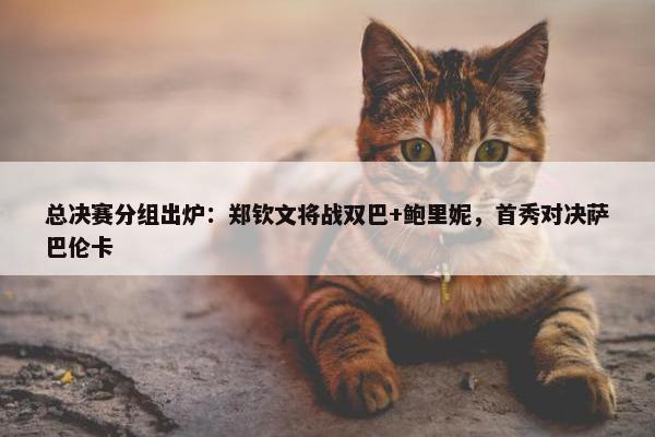 总决赛分组出炉：郑钦文将战双巴+鲍里妮，首秀对决萨巴伦卡