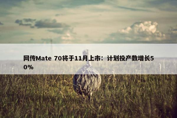 网传Mate 70将于11月上市：计划投产数增长50%