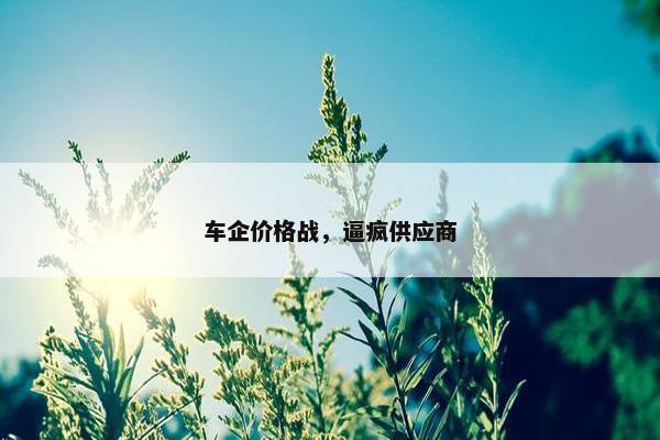 车企价格战，逼疯供应商