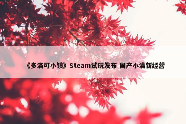 《多洛可小镇》Steam试玩发布 国产小清新经营