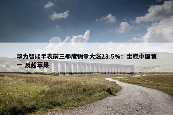 华为智能手表前三季度销量大涨23.5%：坐稳中国第一 反超苹果