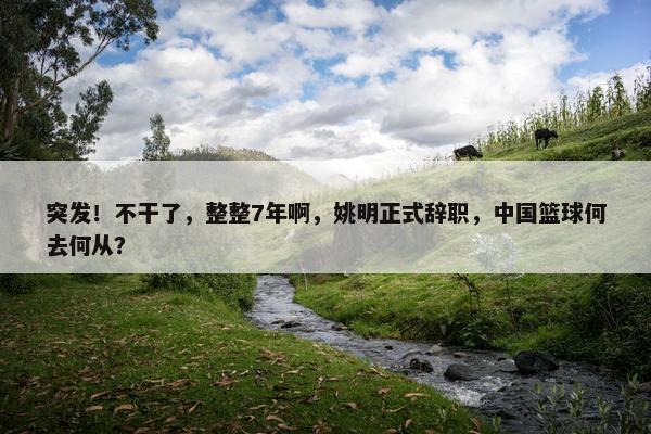 突发！不干了，整整7年啊，姚明正式辞职，中国篮球何去何从？